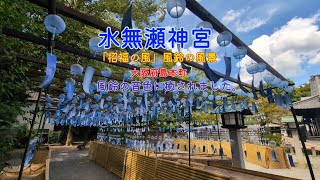 【水無瀬神宮】「招福の風」風鈴の音色に癒されました。#神社 #風景 #癒し #大阪 #パワースポット
