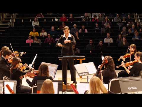 Schubert, Symphony No. 5 (1st mov)