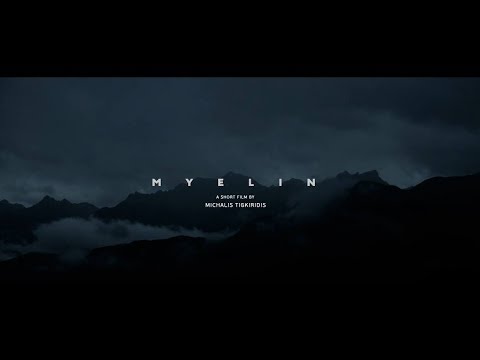 Myelin
