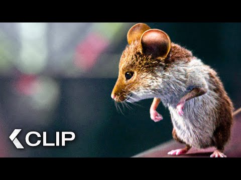 Das Chaos beginnt! - MISSION: MÄUSEJAGD - Chaos unterm Weihnachtsbaum Clip & Trailer (2025)