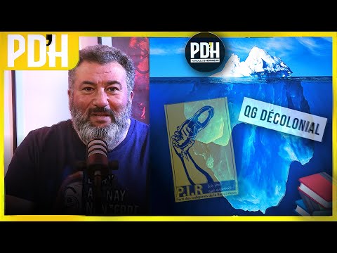 LES INDIGÈNES PEUVENT-ILS PENSER ? (Retour sur 20 ans de production théorique du PIR à PDH)