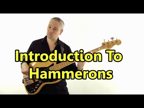 download lagu mp3 mp4 Hammerbass, download lagu Hammerbass gratis, unduh video klip Hammerbass