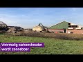 Leon Masselink uit Gendringen had ooit varkens maar is nu wijn- én zonneboer