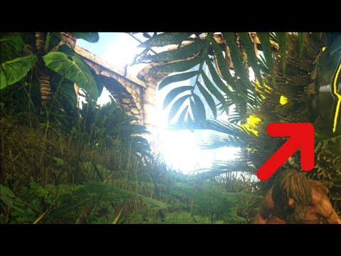 ARK: Letzte Staffel - Elverana - Mystischer Wolf wie geil - Wenn ich mich da nicht freue