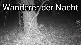 Er fragt sich was