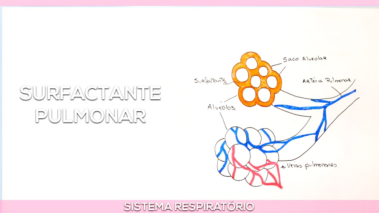 Surfactante pulmonar