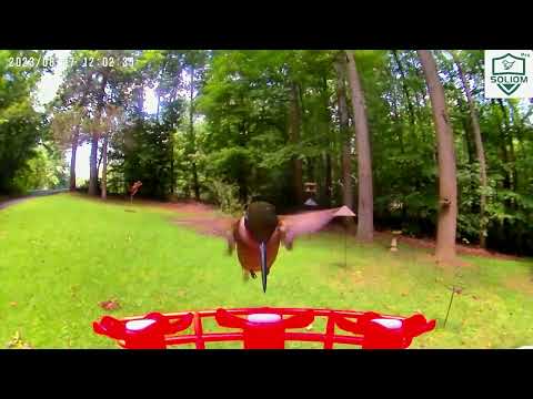 Soliom BF10 Hummingbird Feeder Camera
