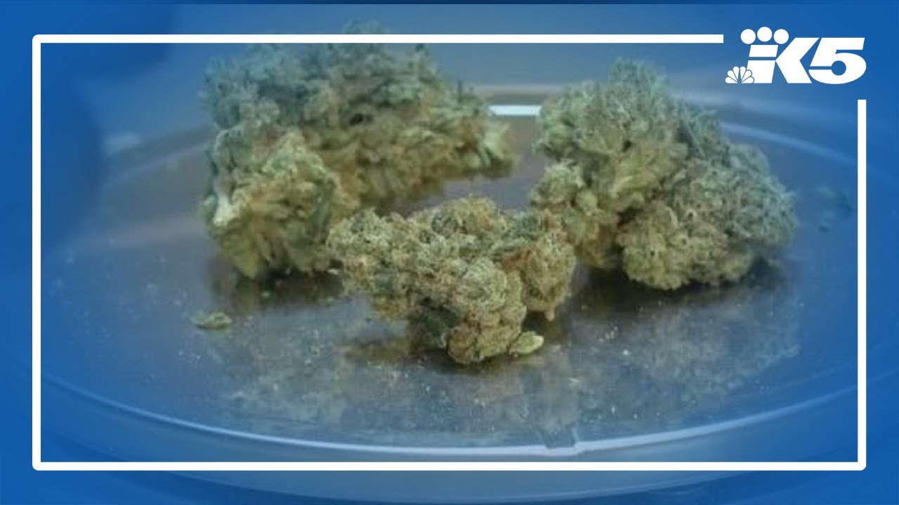 US Department of Justice proposes marijuana reclassification