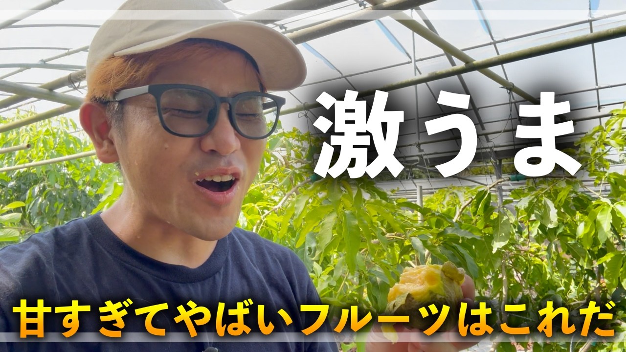 甘すぎて美味すぎるフルーツはこれだ！！！！！品種の紹介と育て方についても解説！