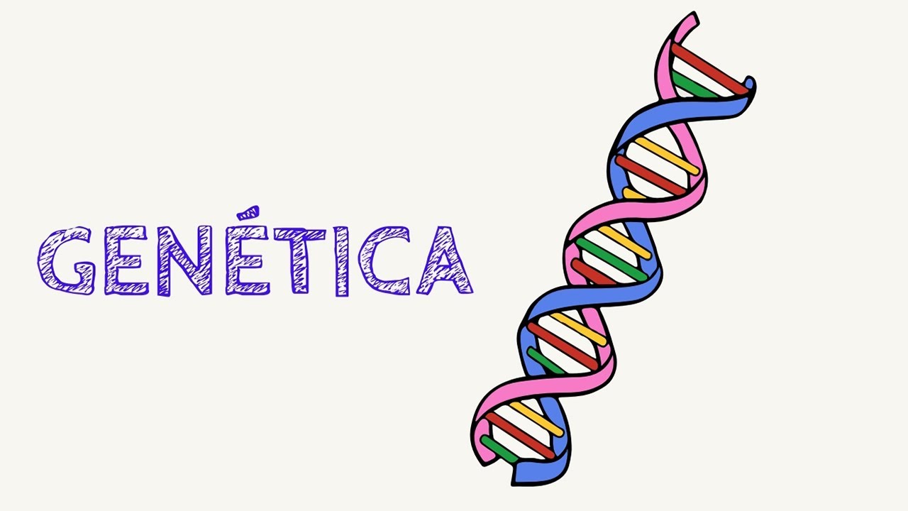 Experimentos de Biologia - GENÉTICA (EXTRAÇÃO DE DNA HUMANO)