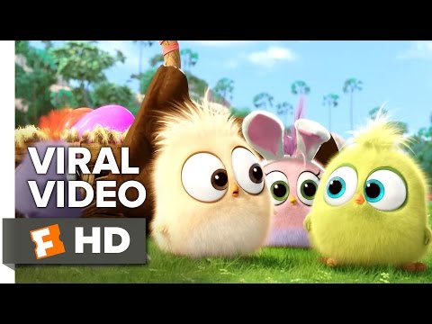 The Angry Birds Movie VIRAL VIDEO - Hatchling Easter (2016) - Animated Movie HD