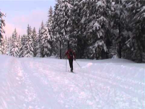 Kurs narciarstwa biegowego - (odc.1) - krok z odbicia