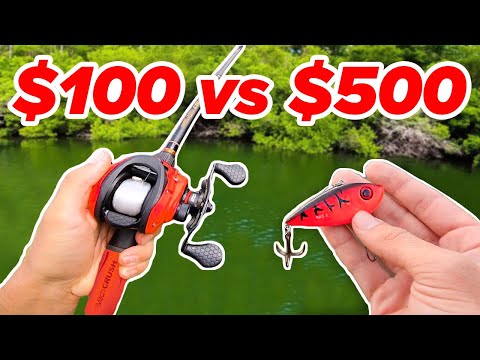 $100 vs $500 Budget Fishing Challenge (Rod, Reel, Lures)