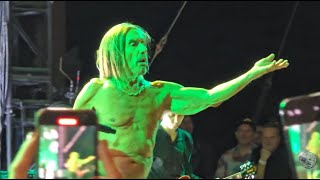 The Deep and Profound Punk Rock Authenticity of Iggy Pop | Frumess