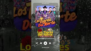 El Maestro ~ Los Tigres del Norte Mix 2024 | Los Tigres del Norte #lostigresdelnorte