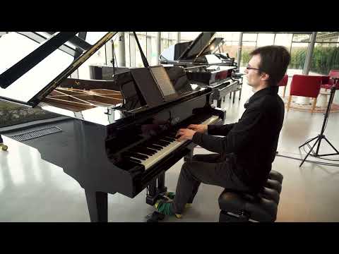 PIANO DEMO: Petrof 284 Mistral - Aeolian Harp