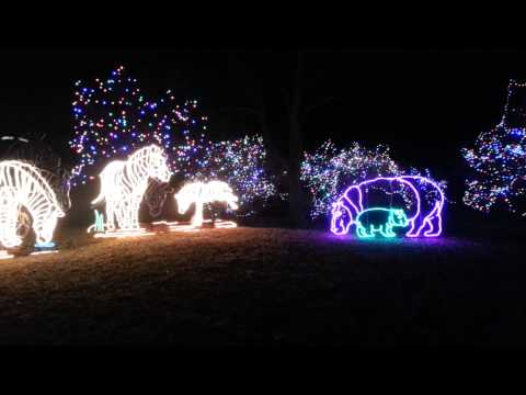 2012-12-23 Zoo Lights(12)