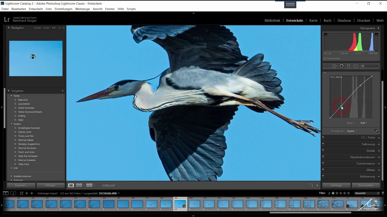 Vögel fotografieren mit Sony A7R4 und FE 70/300. Bildentwicklung mit Lightroom.