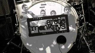 Arctic Monkeys - You probably couldn&#39;t see for the lights but you were looking straight at me