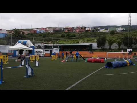Narciso y Loba - Agility Grado 3 - 30 Abril 2017