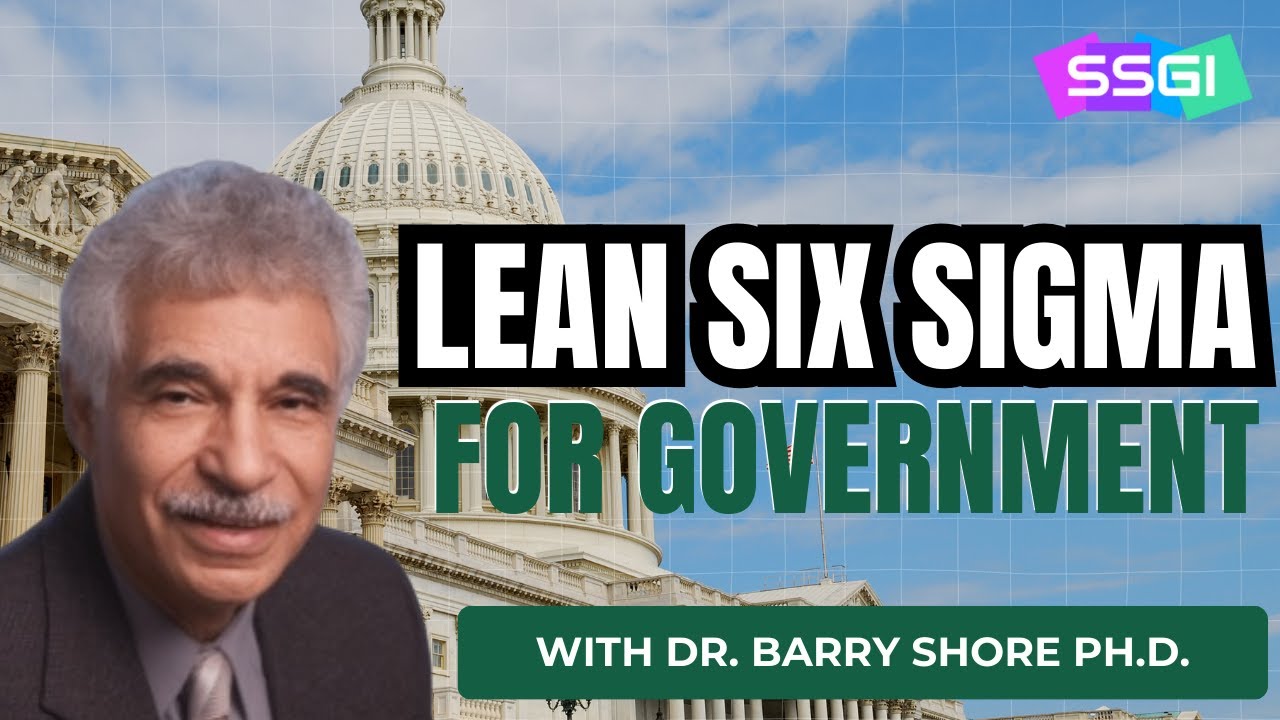 Lean Six Sigma for Government: Real-World Examples for Efficiency