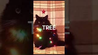 Cover art for CHRIMUH