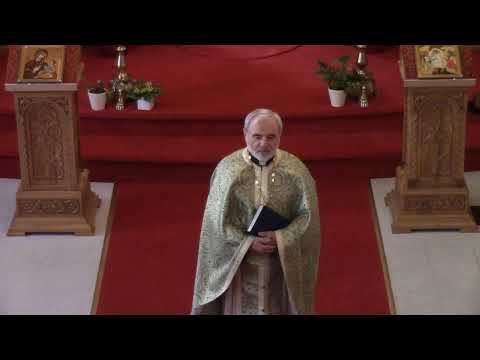 Duminica a 29 -a dupa Rusalii (a celor 10 leprosi) 17 ian 2021