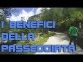 Camminare Fa Bene Ecco I Benefici Della Passeggiata Perdere Perso E Migliorare La Salute
