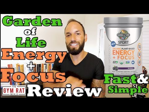 Energy + Focus | Best Pre Workout For Vegans | Garden of Life Review