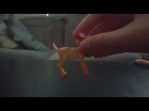 The Black Cat Reviews Schleich Wild Life Whitetail Fawn (2019).