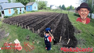 I Turned My Lawn Into a THRIVING Vegetable Garden and Here's