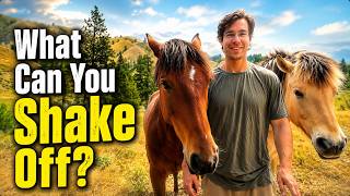 What the Horses Can Teach You About Shaking Off What Isn’t Yours