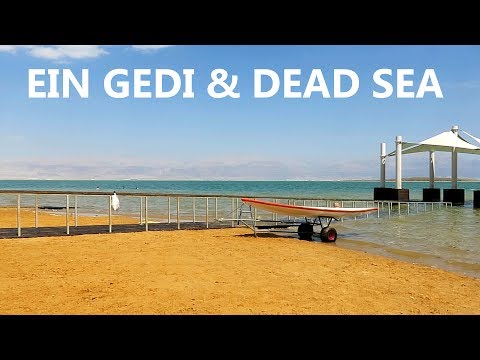 Week 9: Ein Gedi & Dead Sea