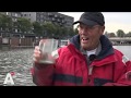 Steeds meer exotische kwallen in het IJ