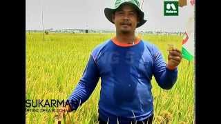 Download lagu GibGro 10 SP PT Nufarm Indonesia mp3