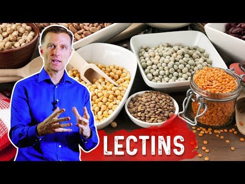 Lectins and Autoimmune Conditions