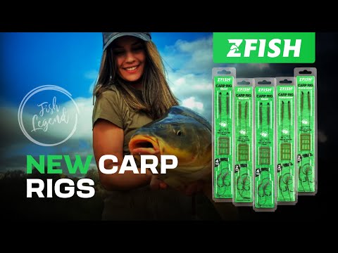 ZFISH - Náväzec Curve Shank Carp Rig veľ. 4 2 ks