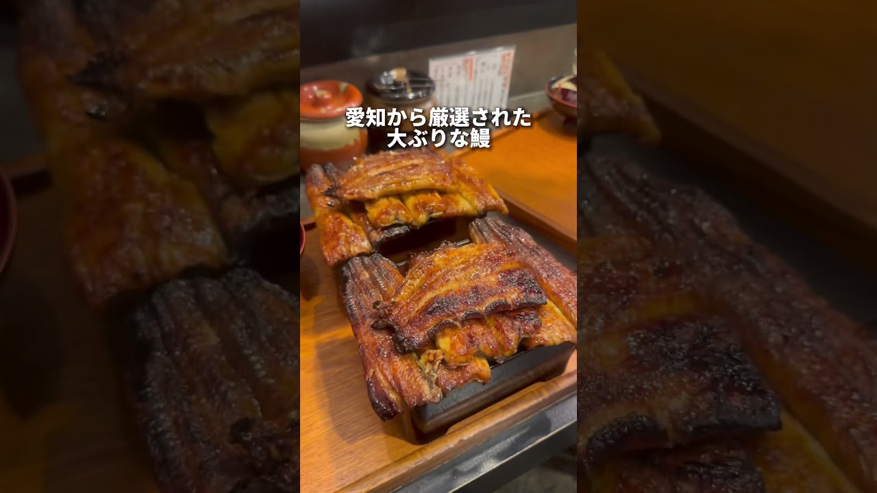 総重量850g！デカ盛りうな重！　武蔵小山　うなぎ亭智