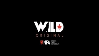 Wild TV GOING AFTER CANADIAN'S GUNS