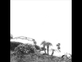 Timber Timbre - Beat The Drum Slowly 
