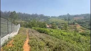  Residential Plot for Sale in Coonoor, Ooty