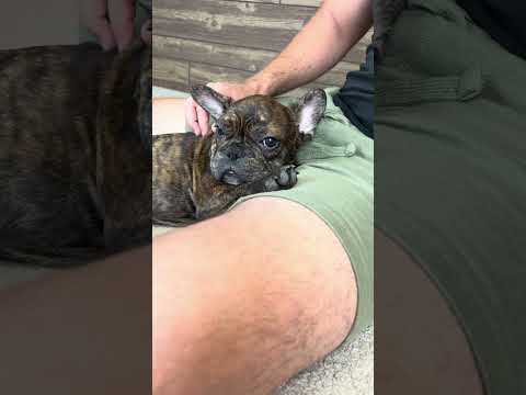 Video 5
