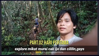 Download lagu Jebak burung murai di hutan dapat cililin istimewa paling unik strek bertubi tubi.part.01 mp3