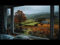Cozy Fall Evening Rain In Ireland ️Calm Rain Ambience For Reading Sleeping Etc