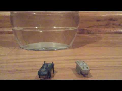 HEXBUG  aqua bot wahoo review and play test!