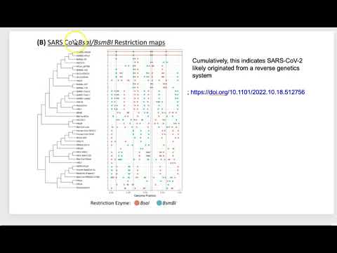 2 SARS CoV2 Origins (Dr. Pat Fidopiastis)