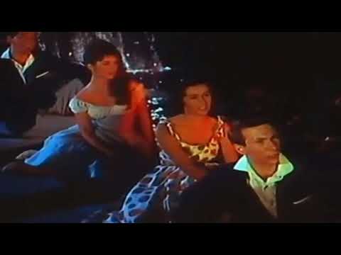 Pod sjajem zvezda ove noći | Vokalni kvartet Predraga Ivanovića