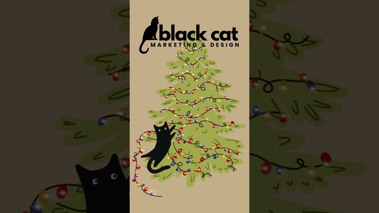 Black Cat Designs