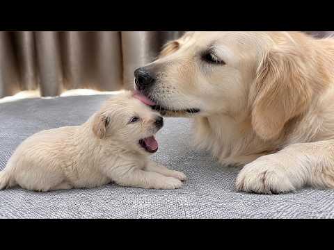 YouTube 썸네일