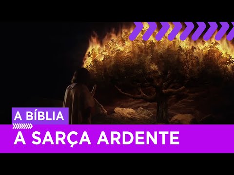 Moisés depara-se com a sarça ardente e ouve a voz de Deus | A Bíblia